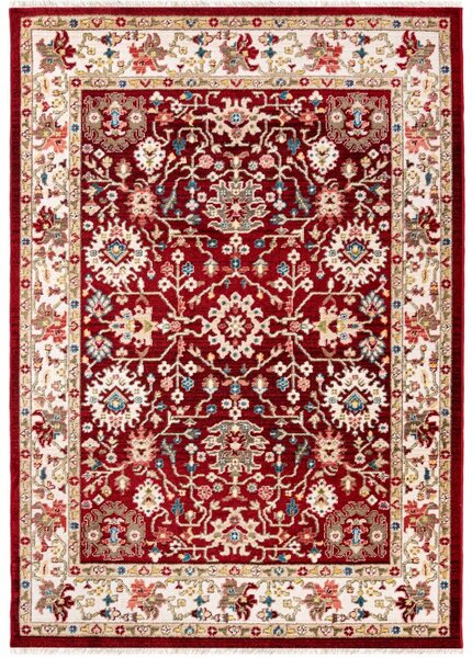 Makro Abra Kusový koberec RIVOLI EF52B Klasický červený Rozměr: 160x225 cm