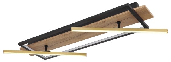Globo 67296D1 - LED Stropní svítidlo BEATRIX LED/32W/230V