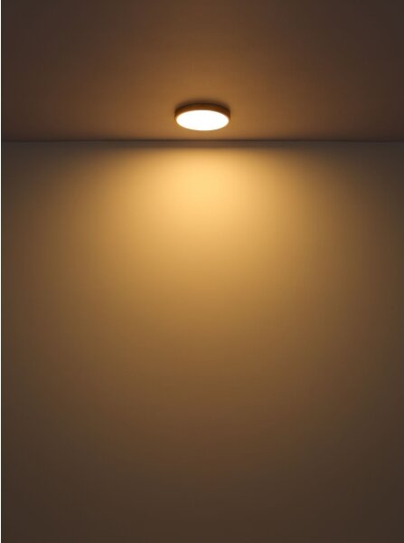 Globo 12381-22 - LED Stropní svítidlo TIBEY LED/22W/230V pr. 35 cm