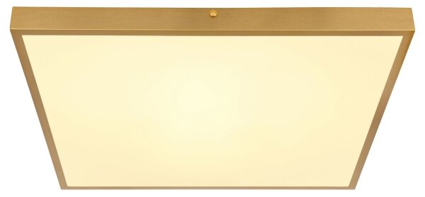 Globo 12382-30 - LED Stropní svítidlo TIBEY LED/30W/230V 45x45 cm