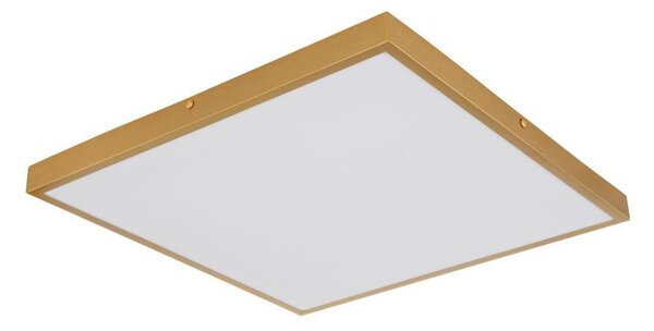 Globo 12382-30 - LED Stropní svítidlo TIBEY LED/30W/230V 45x45 cm