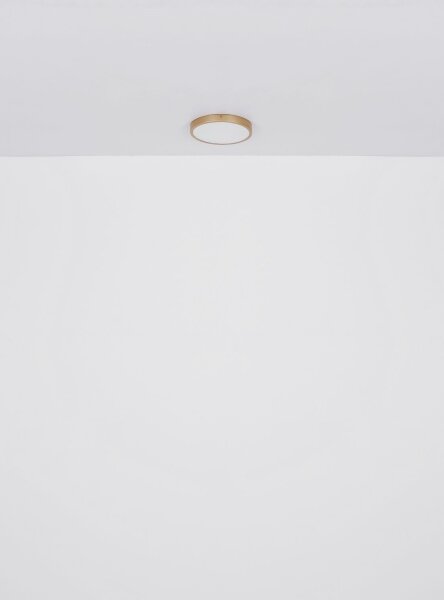 Globo 12381-22 - LED Stropní svítidlo TIBEY LED/22W/230V pr. 35 cm