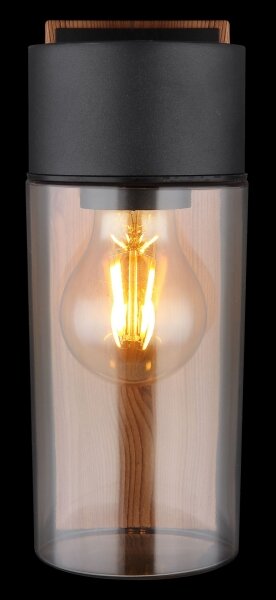 Globo 31975 - Venkovní nástěnné svítidlo ETSI 1xE27/40W/230V IP44