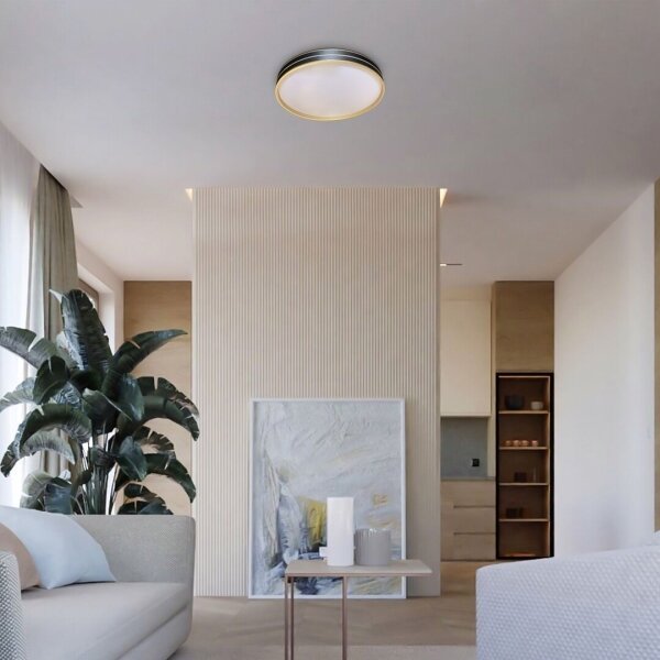 Rabalux 71141 - LED Stmívatelné stropní svítidlo GANDOR LED/24W/230V 3000-6500K