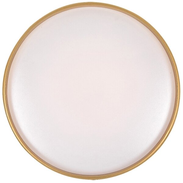 Rabalux 71141 - LED Stmívatelné stropní svítidlo GANDOR LED/24W/230V 3000-6500K