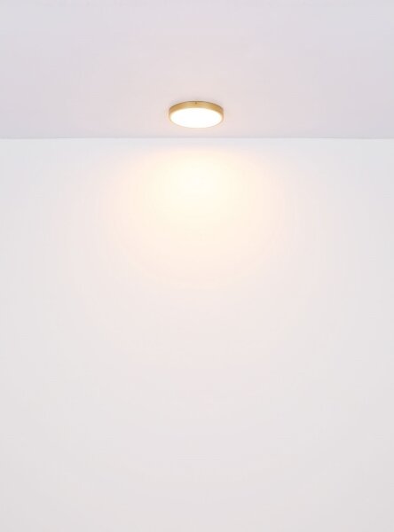 Globo 12381-22 - LED Stropní svítidlo TIBEY LED/22W/230V pr. 35 cm