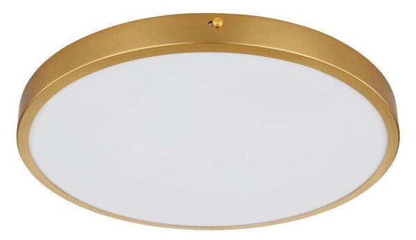 Globo 12381-22 - LED Stropní svítidlo TIBEY LED/22W/230V pr. 35 cm