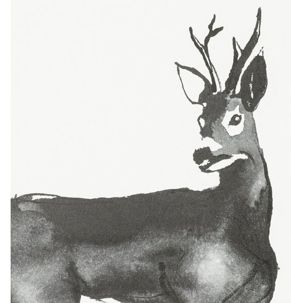 Teemu Järvi Plakát s motivem srnce Roe Deer 50x70
