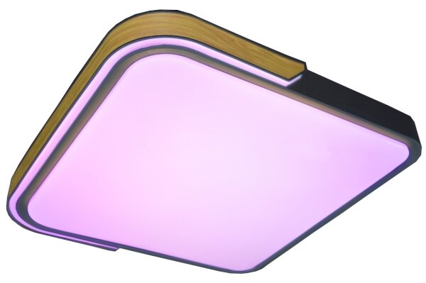 Rabalux 71146 - LED Stmívatelné stropní svítidlo ARILD LED/48W/230V Wi-Fi Tuya