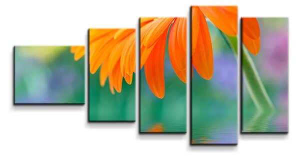 Sablio Obraz - 5-dílný Oranžová gerbera - 100x60 cm