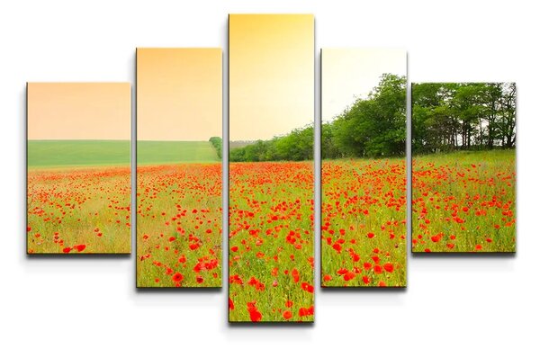 Sablio Obraz - 5-dílný Pole vlčích máků - 125x90 cm
