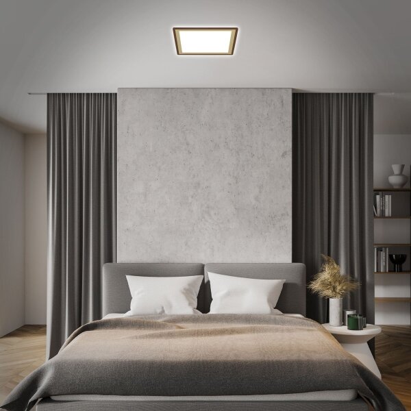 Briloner 7459-417 - LED Stmívatelné stropní svítidlo DECO LED/24W/230V + DO