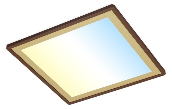 Briloner 7459-417 - LED Stmívatelné stropní svítidlo DECO LED/24W/230V + DO