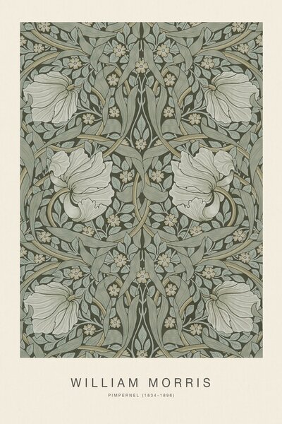 Obrazová reprodukce Pimpernel (Special Edition Classic Vintage Pattern) - William Morris