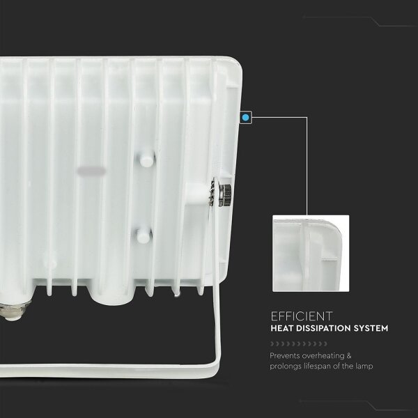 LED Reflektor LED/50W/230V 6500K IP65 bílá
