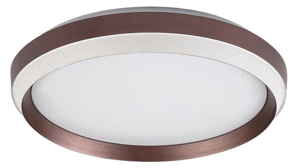 Rabalux 71159 - LED Stropní svítidlo FONTANA LED/24W/230V 3000K