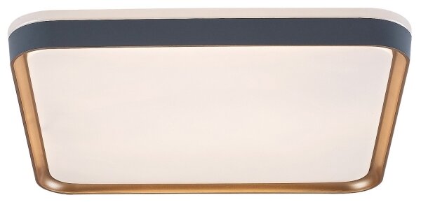 Rabalux 71029 - LED Stropní svítidlo LIATRIS LED/26W/230V 3000K