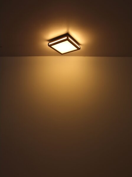 Globo 41589D2 - LED Stropní svítidlo CARLA LED/24W/230V 45x45 cm