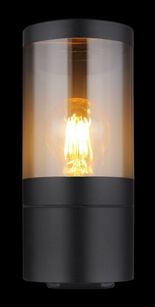 Globo 32014BS - Venkovní nástěnné svítidlo XELOO 1xE27/60W/230V IP44