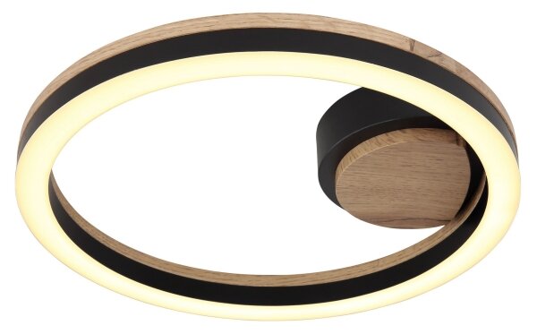 Globo 67298D - LED Stropní svítidlo BEATRIX LED/12W/230V