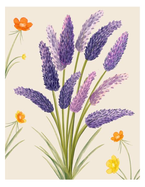 Ilustrace Purple flower, Bohonewart, (30 x 40 cm)