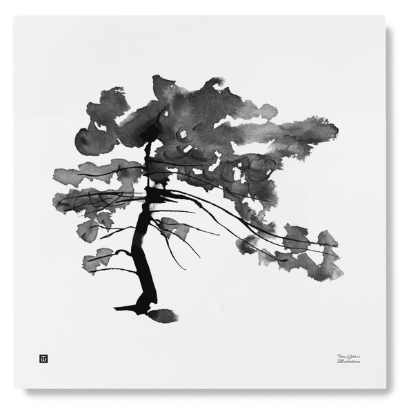 Plakát Pine Tree velký 50x50 cm Teemu Järvi Illustrations