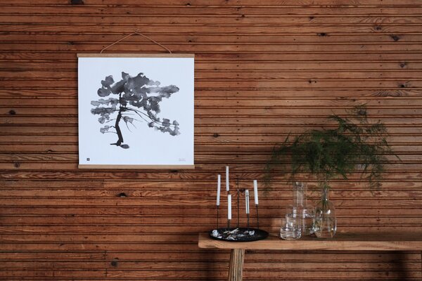 Plakát Pine Tree velký 50x50 cm Teemu Järvi Illustrations
