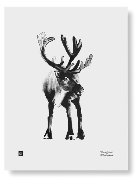 Plakát Reindeer 30x40 cm Teemu Järvi Illustrations