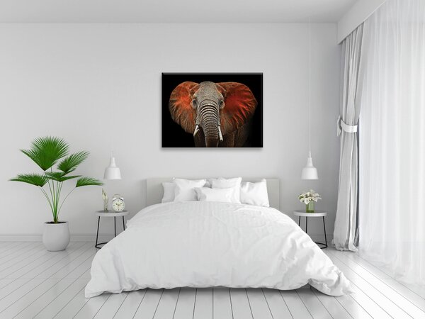 MALBA NA PLÁTNĚ, zvířata, 135/100 cm Euroart - Obrazy na plátně