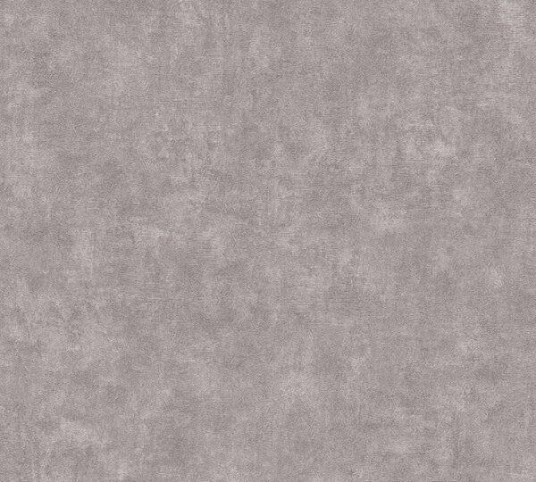 A.S. Création | Vliesová tapeta na zeď Terra 38923-2 | 0,53 x 10,05 m | hnědá, šedá