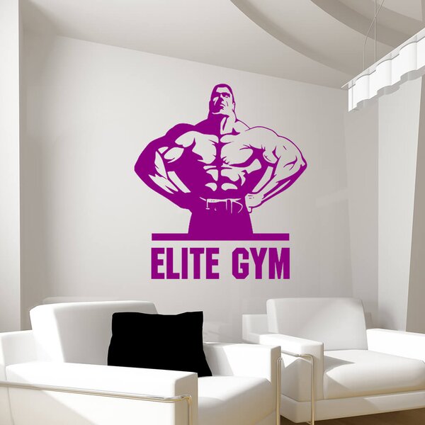 Živá Zeď Samolepka Elite Gym Barva: černá