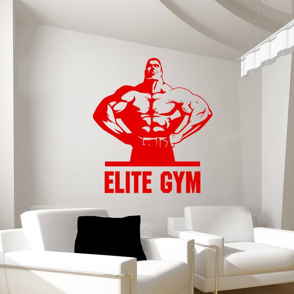 Živá Zeď Samolepka Elite Gym Barva: černá
