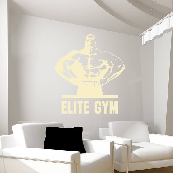 Živá Zeď Samolepka Elite Gym Barva: černá