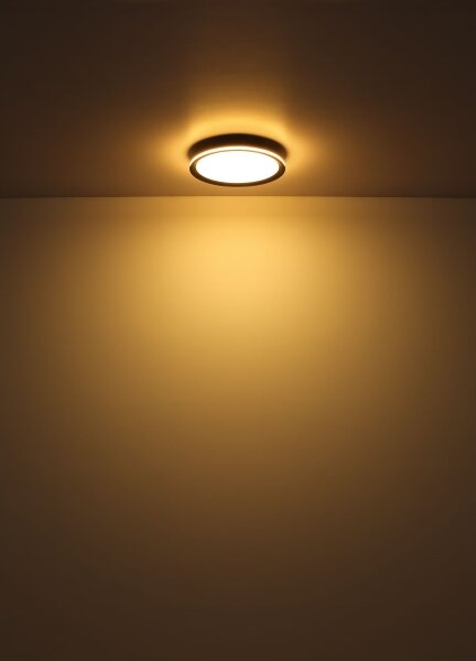 Globo 41588D - LED Stropní svítidlo BELISSA LED/30W/230V pr. 30 cm