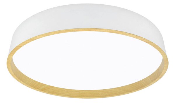 STROPNÍ LED SVÍTIDLO, 50/8 cm - Stropní svítidla