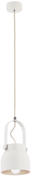 Argon 8290 - Lustr na lanku LOGAN 1xE27/15W/230V pr. 14 cm bílá