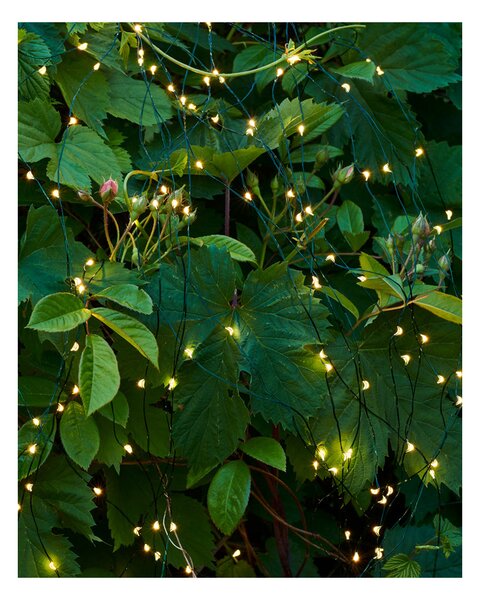 Svítící řetěz Fairy Light 80 LED Green Sirius