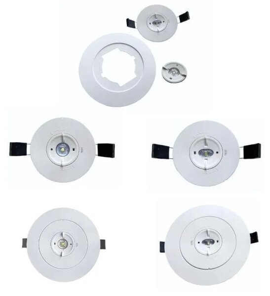 LED Nouzové podhledové svítidlo LED/2W/230V 6000K