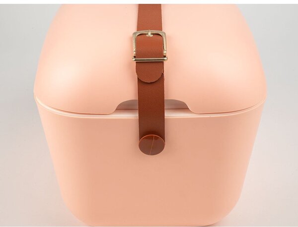 Růžový chladicí box 20 l Classic – Polarbox