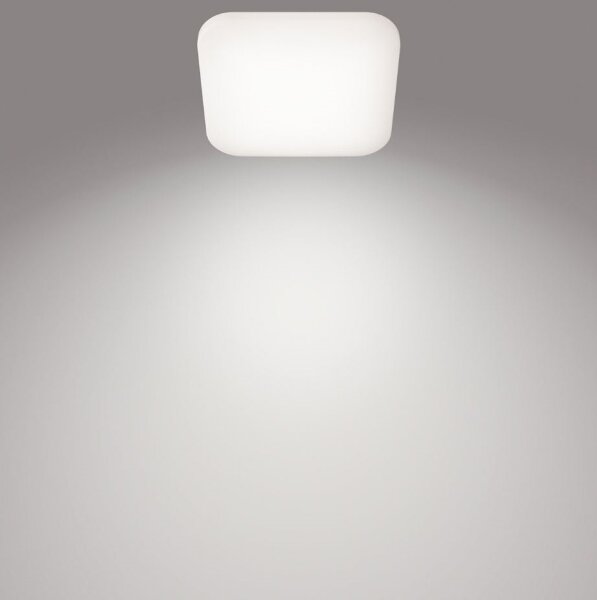 Philips - LED Stropní svítidlo MAUVE LED/12W/230V 4000K