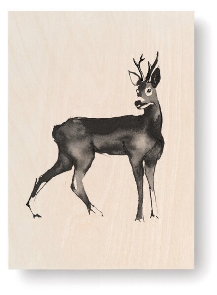 Obrázek na dřevěné kartě Roe Deer 10x15 cm Teemu Järvi Illustrations
