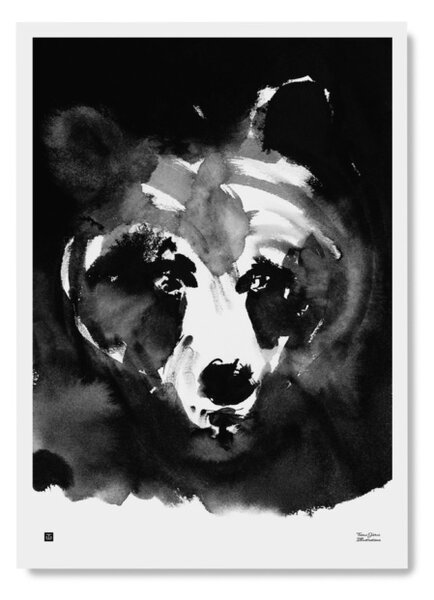 Plakát Mysterious Bear velký 50x70 cm Teemu Järvi Illustrations