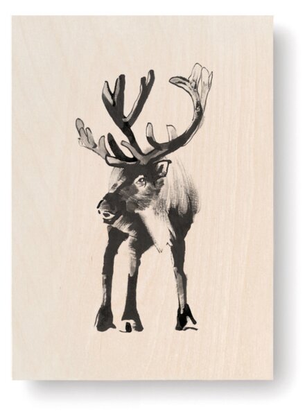 Obrázek na dřevěné kartě Reindeer 10x15 cm Teemu Järvi Illustrations