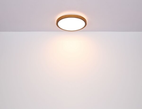 Globo 41766-24 - LED Stropní svítidlo SAMMI LED/24W/230V 3000/4500/6000K
