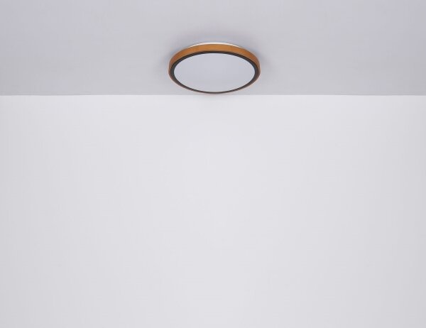 Globo 41766-24 - LED Stropní svítidlo SAMMI LED/24W/230V 3000/4500/6000K