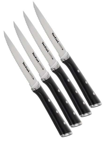 Tefal - Sada nerezových nožů na steak ICE FORCE 11 cm chrom/černá 4 ks