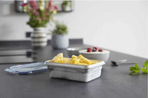 Tefal - Dóza na potraviny 0,8 l MSEAL STEEL modrá/nerez