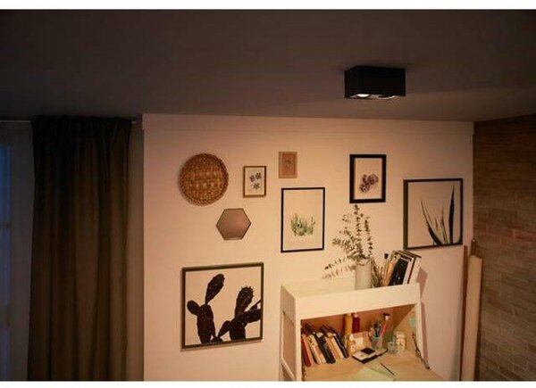 LED Bodové svítidlo Philips Box 50492/30/P0 černé 2x4,5W