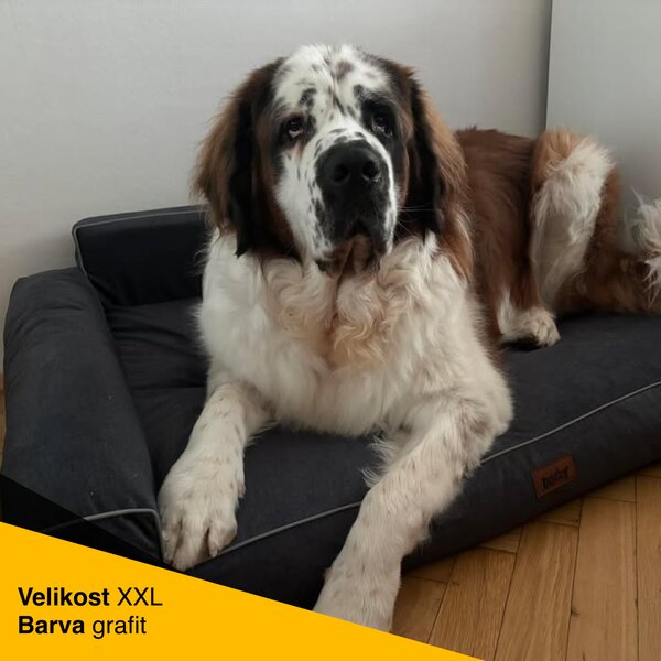 Pelech Glamour, grafit Fancy Velikost: L - 78 x 53cm