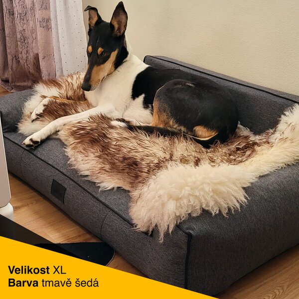 Pelech Glamour, tmavě šedý Inari Velikost: L - 78 x 53cm